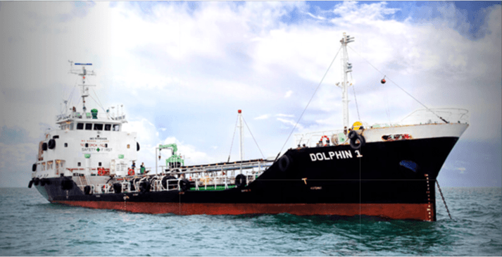 MT. Dolphin 1